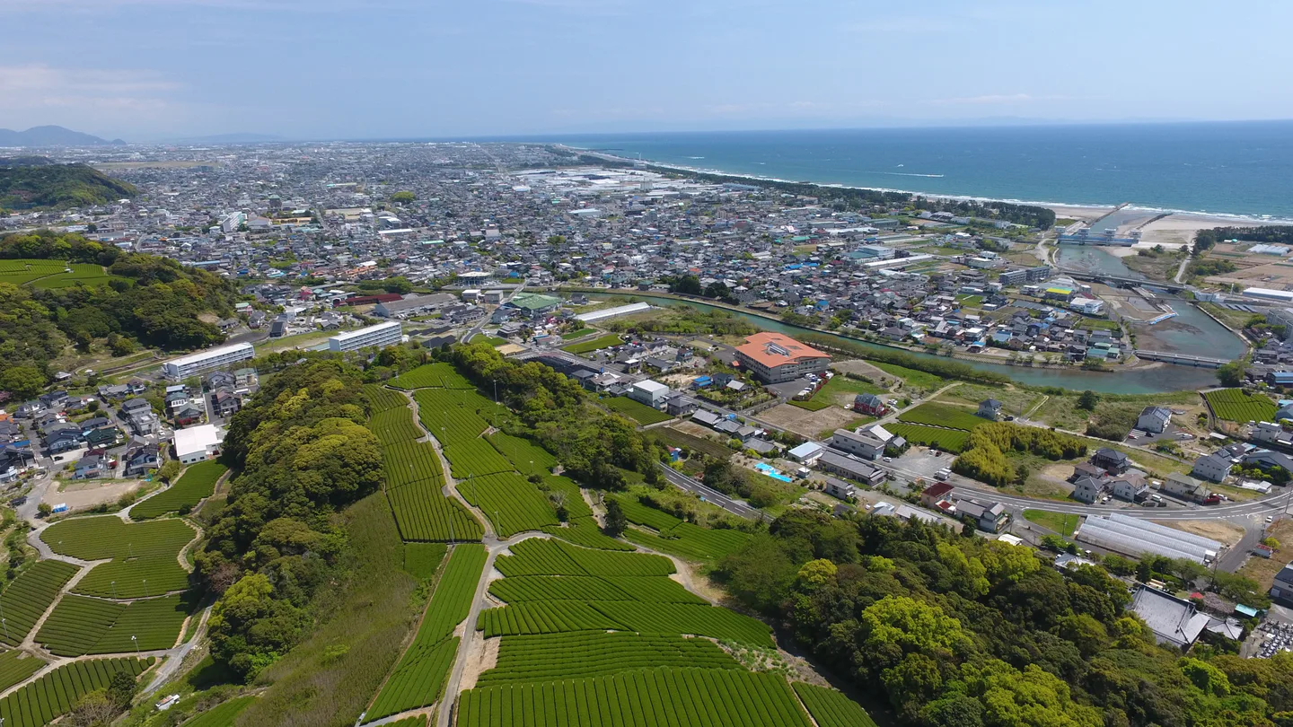 海と茶畑が広がる牧之原市の航空風景