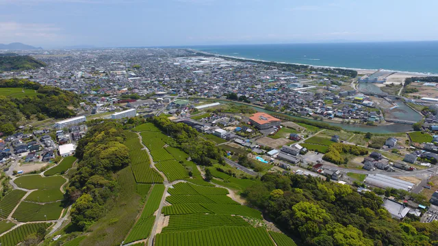 海と茶畑が広がる牧之原市の航空風景